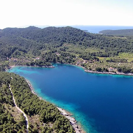 Family-friendly With Swimming Pool Cove Poplat, Korcula - 18258 公寓