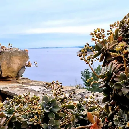 Family-friendly With Swimming Pool Cove Poplat, Korcula - 18258 شقة *